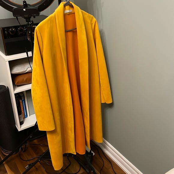 Zara Fall Coat - Picture 1 of 2